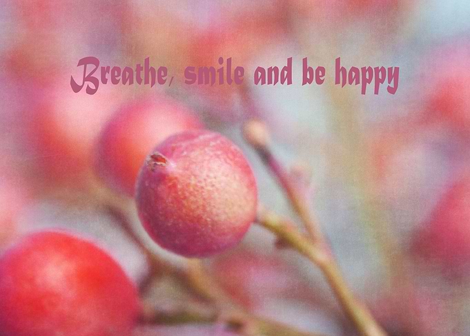Fine art 'Red Berry Party' photo with added texture - b ...