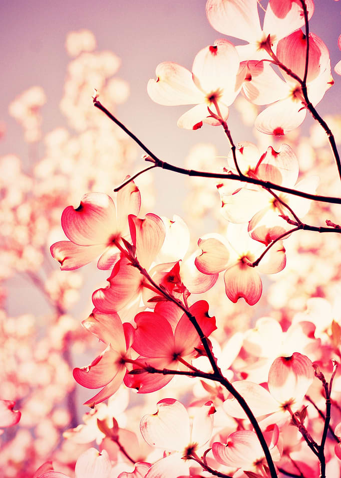 I am always looking up, in nature and in spirit.