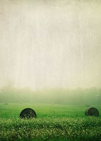 I could wander forever on a foggy morning.