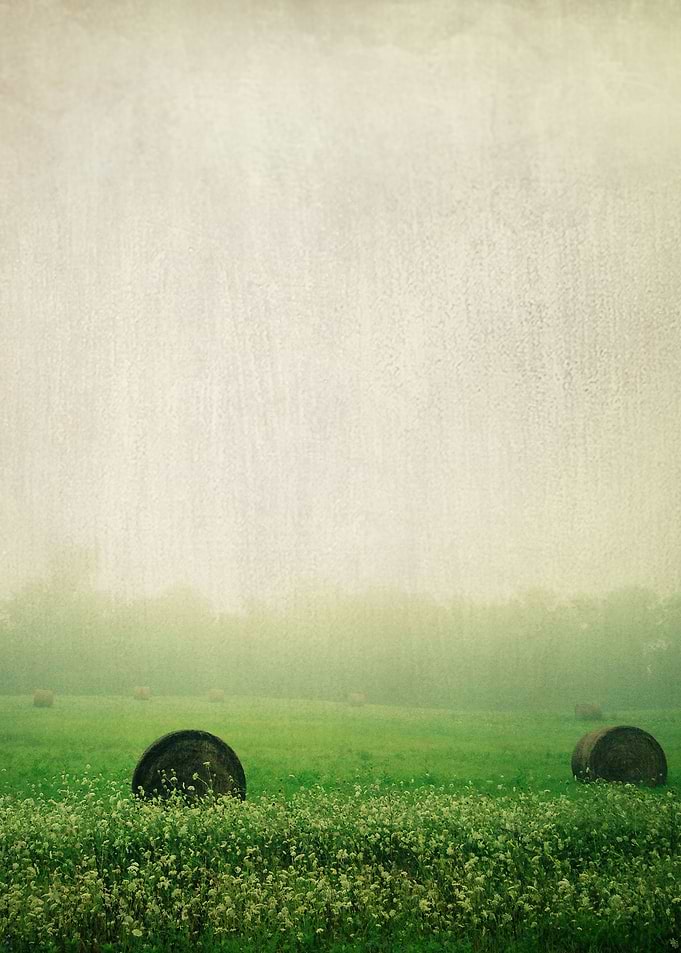 I could wander forever on a foggy morning.