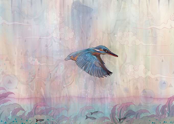 'Terror from Above' - A Kingfisher mid-hunt.