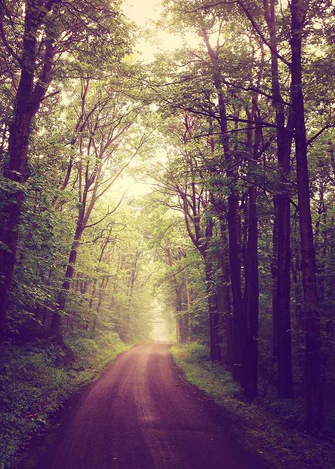 A foggy day is the perfect time to wander and explore w ...