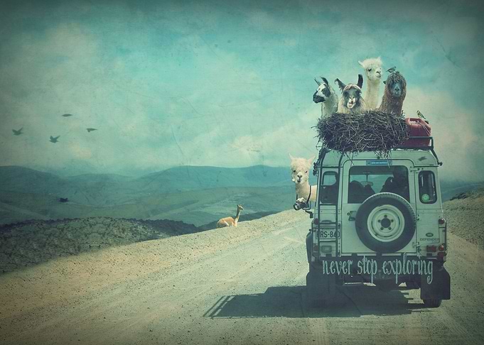 NEVER STOP EXPLORING II