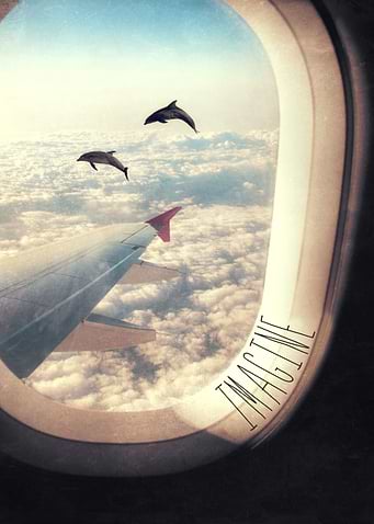 Flying with my dolphin friends