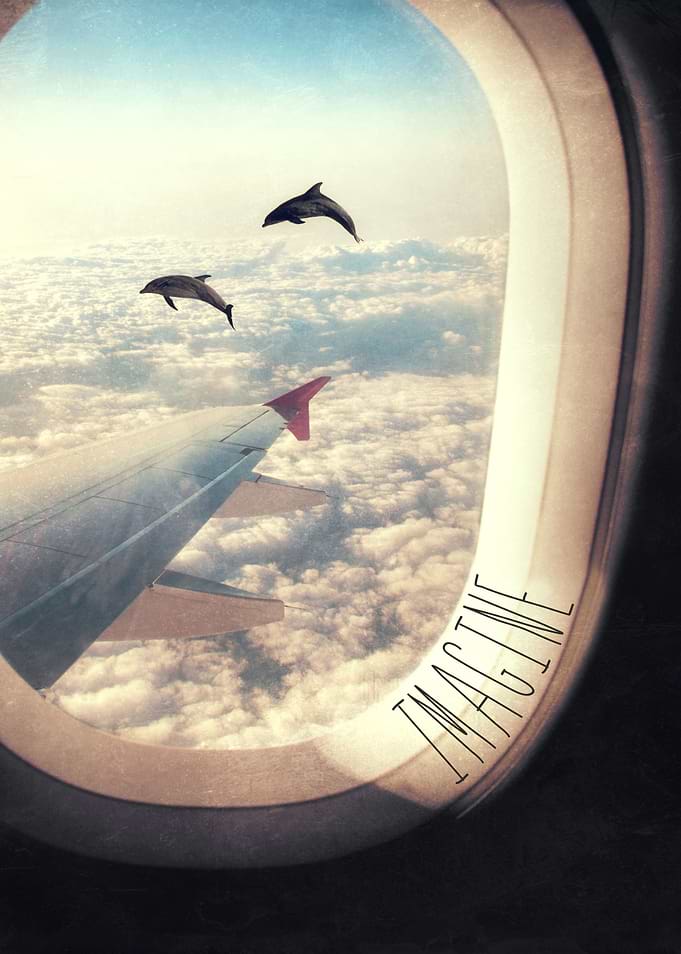 Flying with my dolphin friends