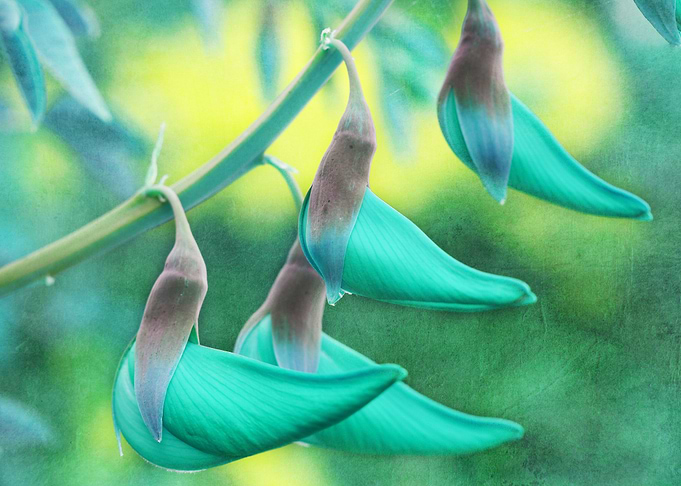Fine art abstract photography: 'Shoe Rack' by Irina War ...
