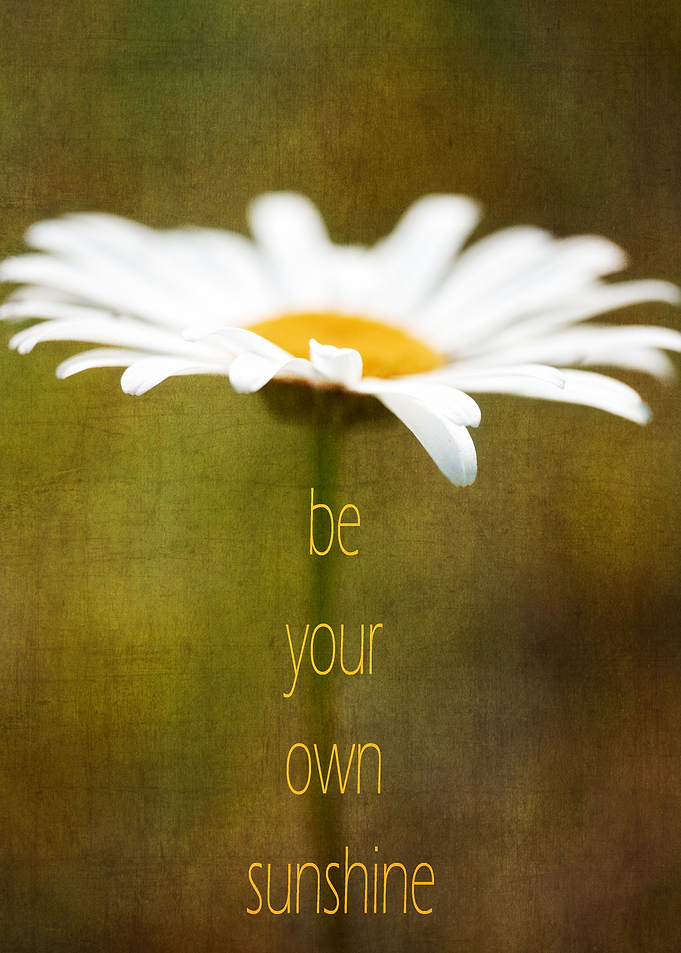 Fine art floral photography: 'Be Your Own Sunshine' by ...