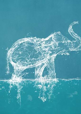Water Elephant