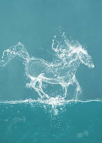 Water Horse