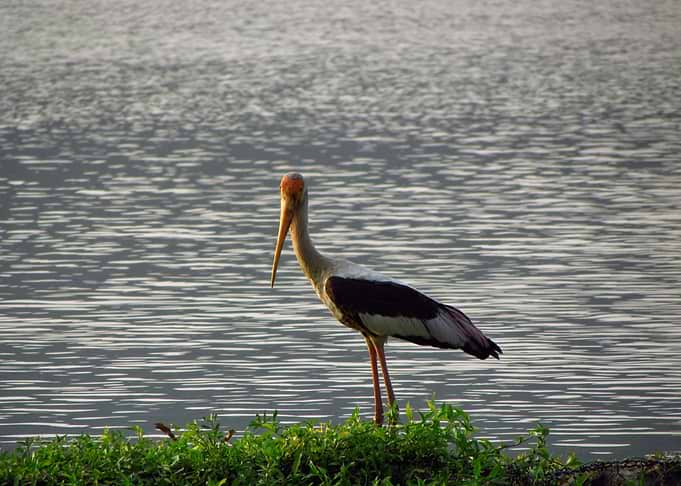 Fisherman Crane, was about to start his job..