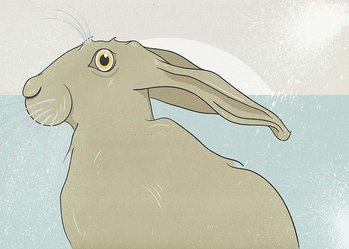 Part of an ongoing series of illustrations of hares on ...
