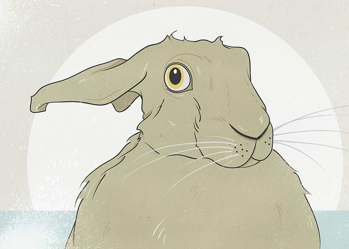 Part of an ongoing series of illustrations of hares on ...