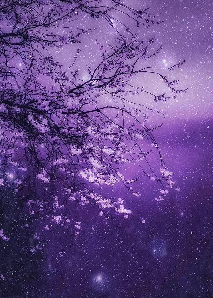 CATCH A FALLING STAR