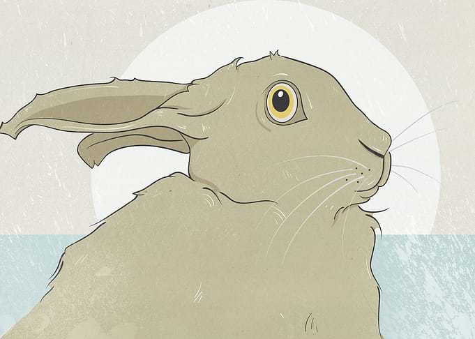 Part of an ongoing series of illustrations of hares on ...