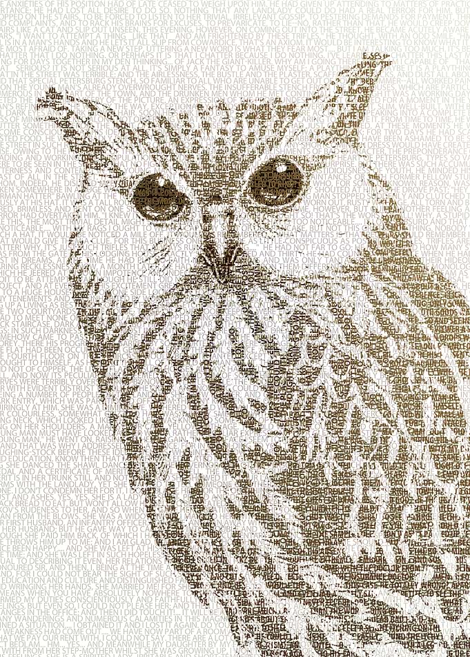 The Intellectual Owl - typography art