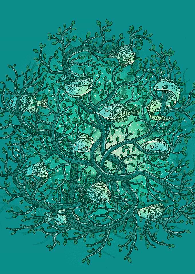 Just some star fish, swimming in the sky.