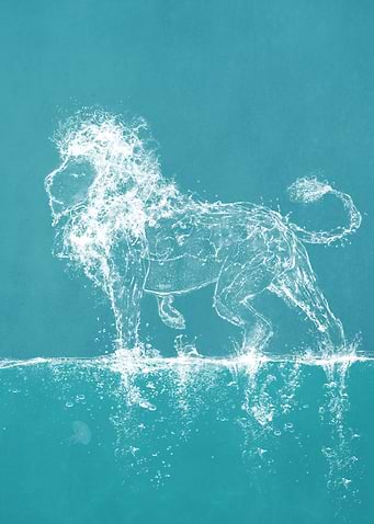The Water Lion