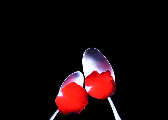 'In Rose Petal Sauce' from Como Agua by Porsche Jones