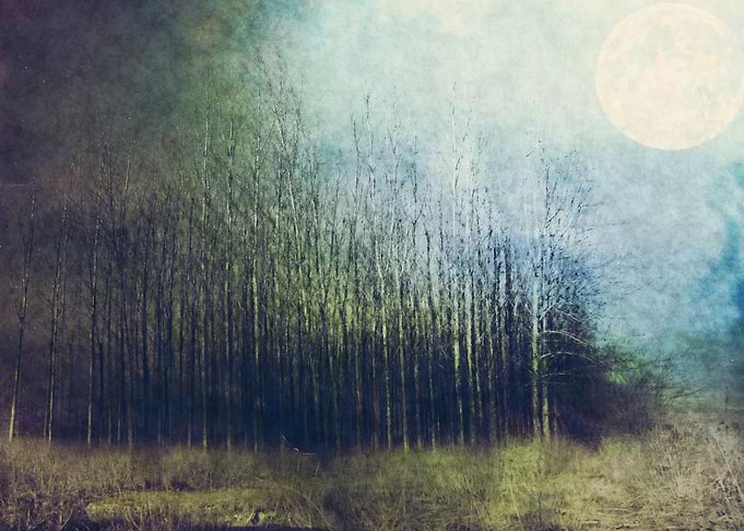 Moon