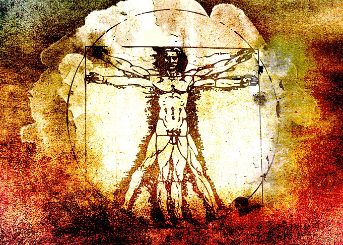 Vitruvian Man - Leonardo Da Vinci Tribute Art - Waterc ...