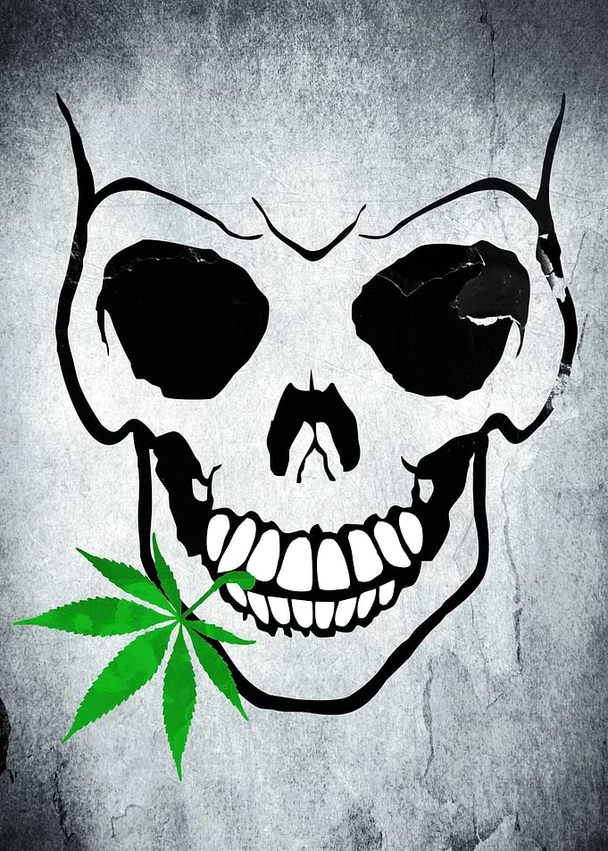Skull with Weed - Cool Skull with Pot in Mouth - Vector ...