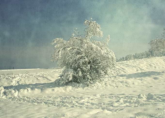 First snow.
