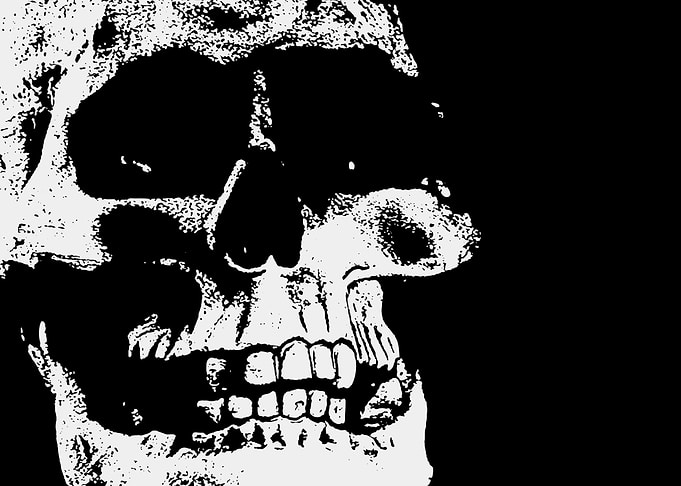 The Skull
