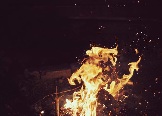 We set a fire to burn dead trees.