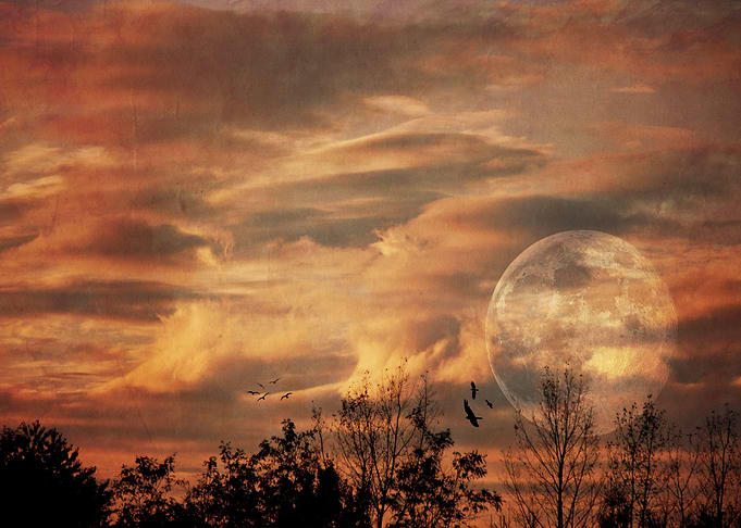Late Afternoon