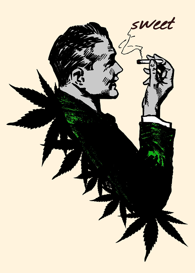 Man smoking pot, 'Cannabis and Politics' ... I hope you ...