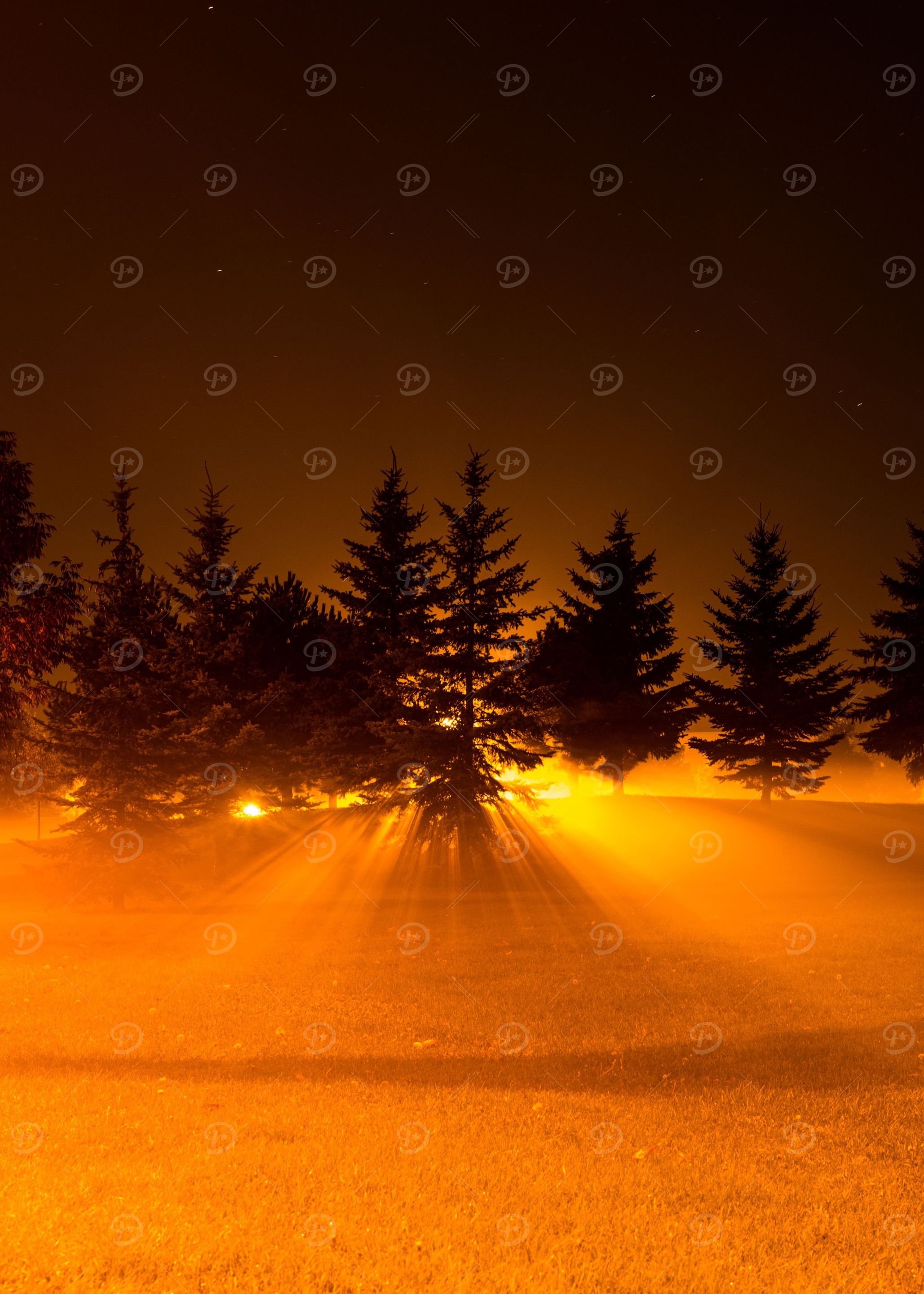 Walking home late at night I cam across a field that lo ...
