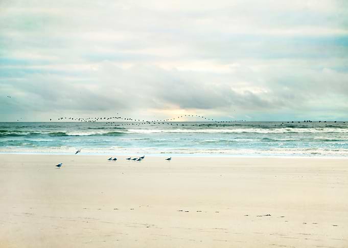 the beautiful beach of Longbeach Washington