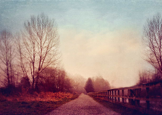 local park in the early morning fog