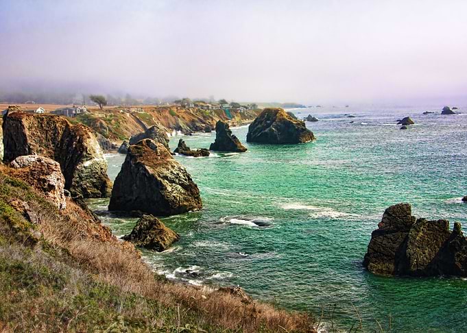 photograph of the foggy California coastline