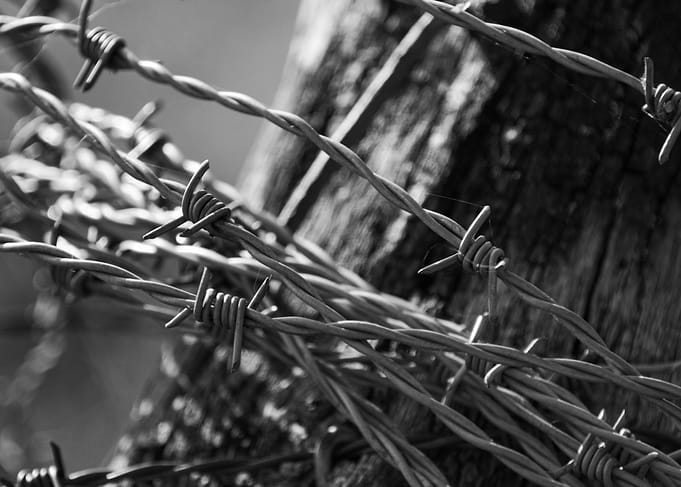 Barbed Wire Black