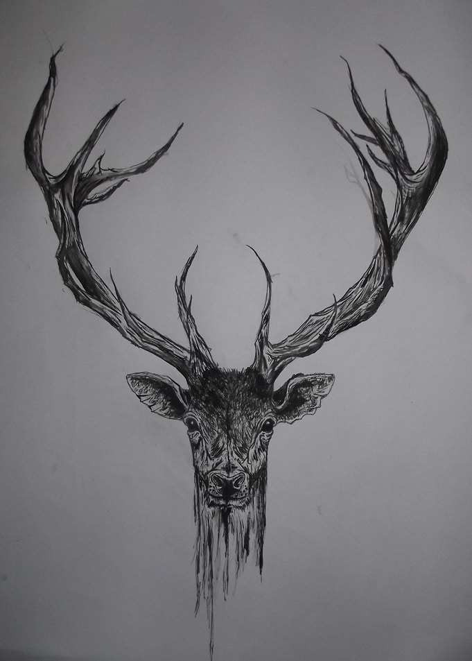 pen drawing