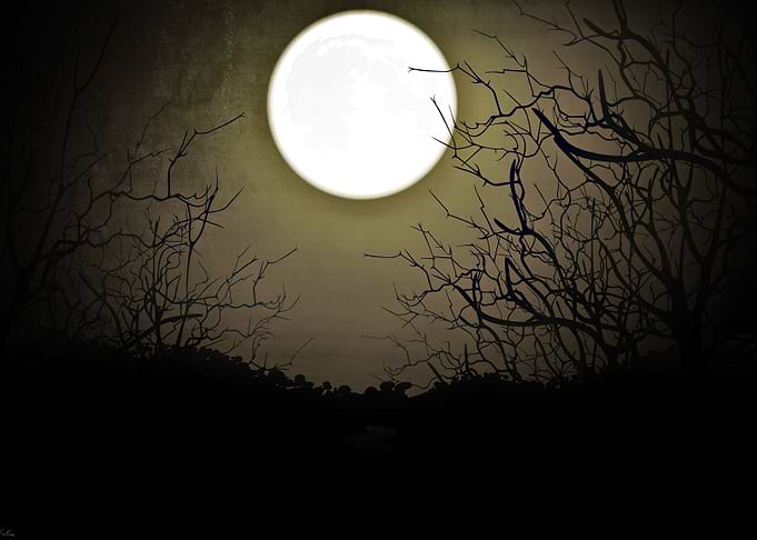 Moonlight