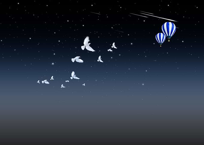 Flying With the Doves