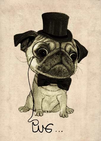 Pug. (Gentle pug).