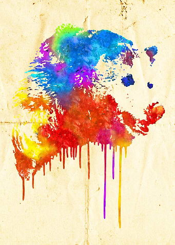 Rainbobear
