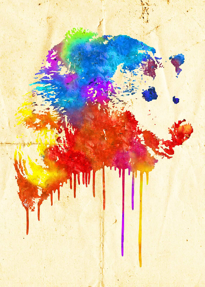 Rainbobear