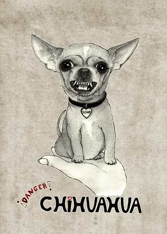 Danger! Chihuahua. ('schiz