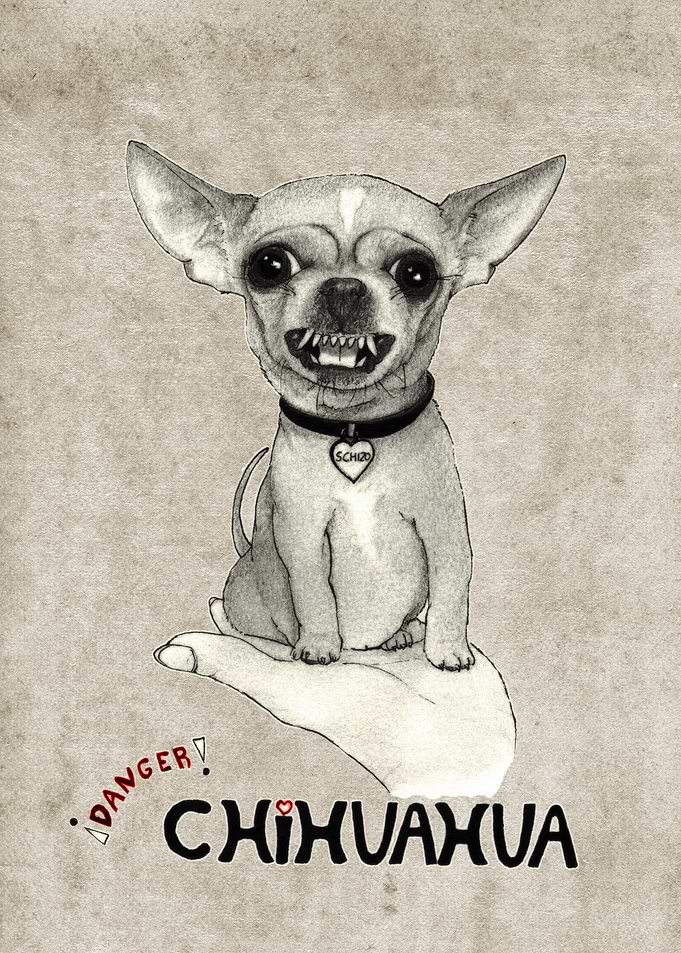 Danger! Chihuahua. ('schiz