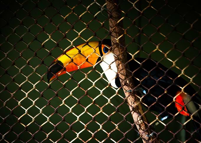Part of my work with animals in my city Zoo, located at ...