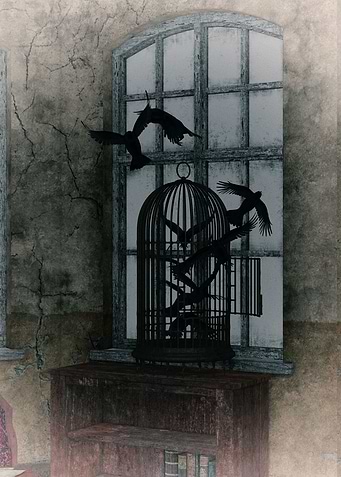 Evanescent Freedom