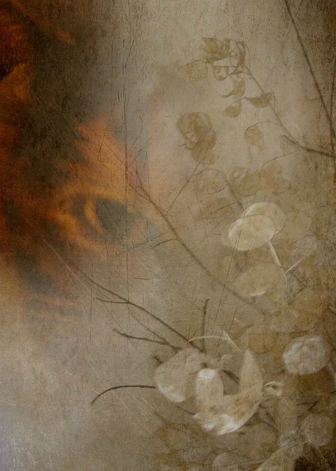 My beloved cat portrayed