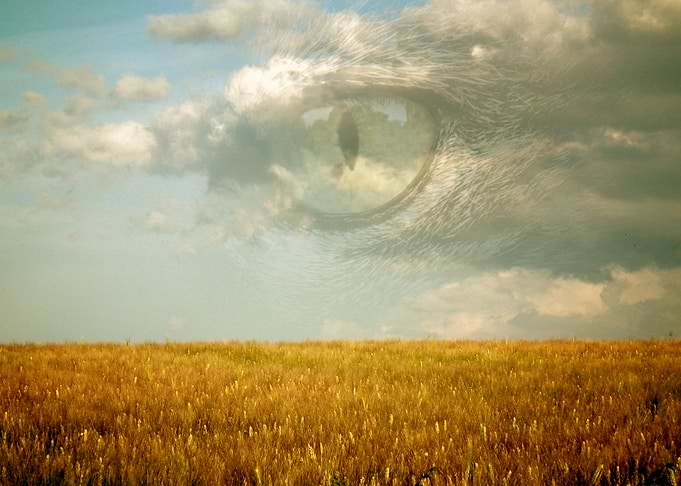 The Big Watcher