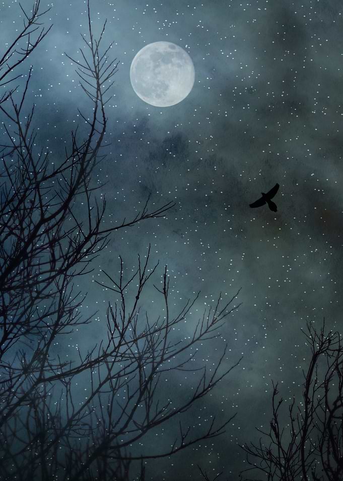 Winter's Silence...