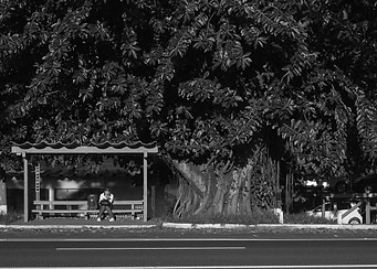 I was on my way home by bus I could capture the lonely ...