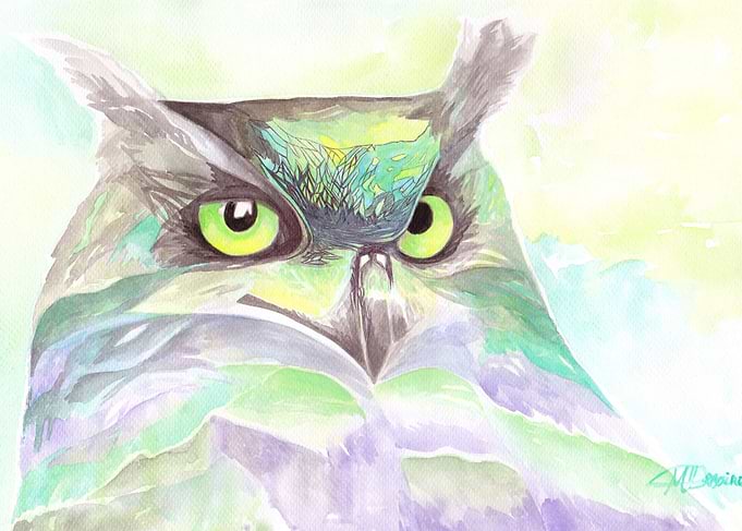 Luminous Owl